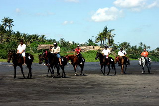 HORSE RIDING - TABANAN